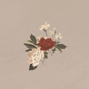 Meet your Posher, Shea